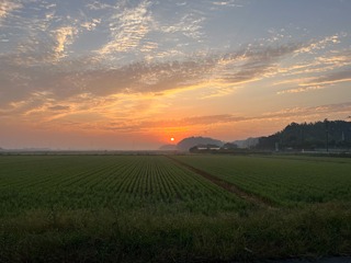 MA330130