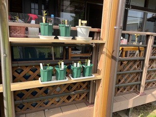image0