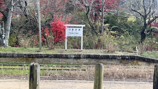 S__5914628