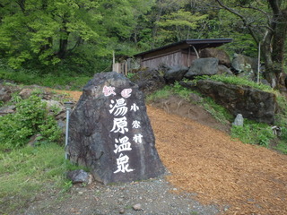 P5020094
