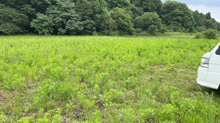 image0