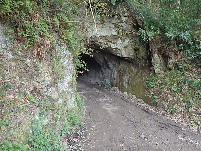4cdcf74b.jpg