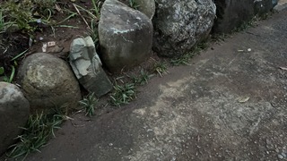 S__4759618