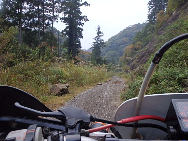 5ec83f64.jpg
