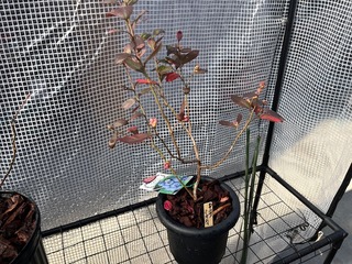 image0