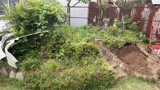 S__7340045