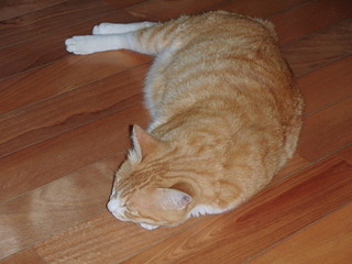 P9060001