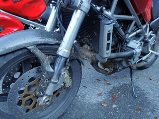 PB080058