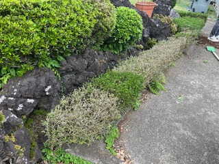 image9
