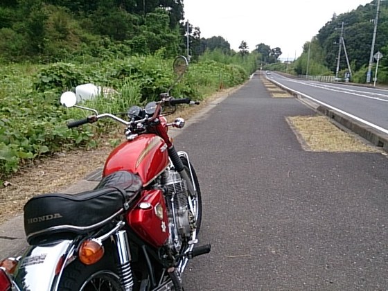 73aca456.jpg
