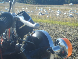 PC080009