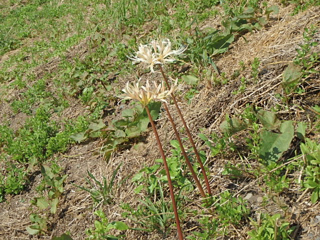 80f0950f.jpg