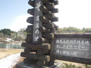 P4280078