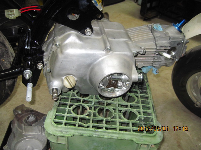 82cb5509.jpg