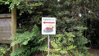28364