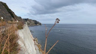 S__5914638