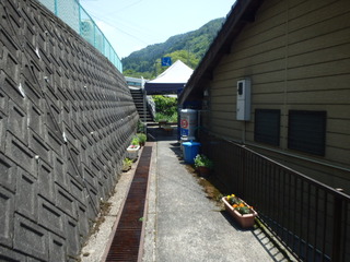 P6031360