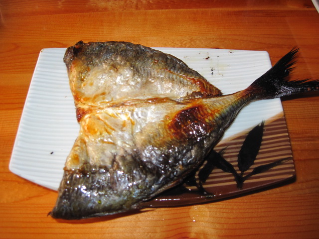 a0402f06.jpg