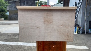 S__5267467