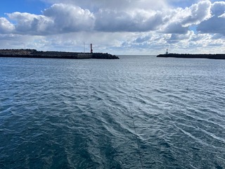 image31