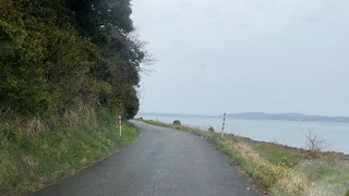 S__4874373