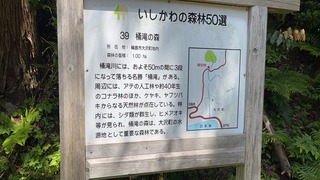 S__4915253