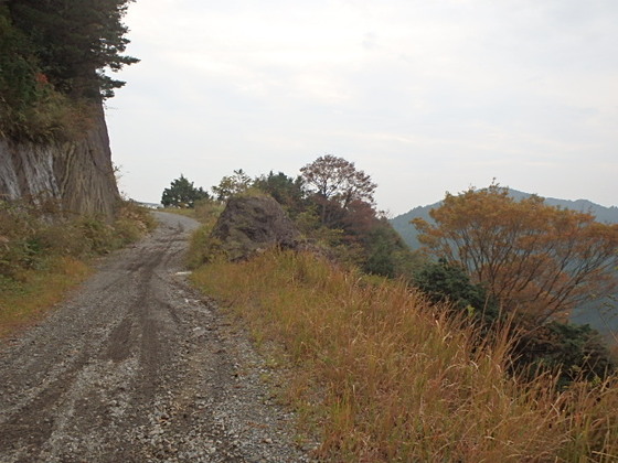 ad688840.jpg