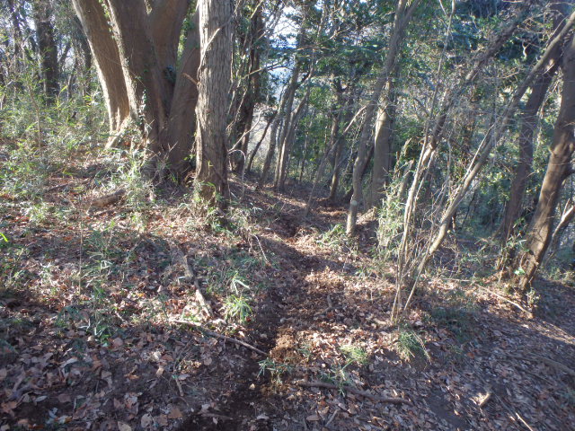 ae189d74.jpg