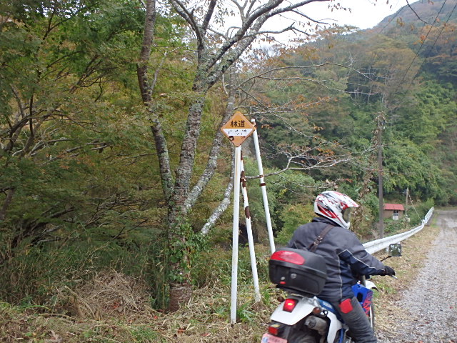 ba620652.jpg