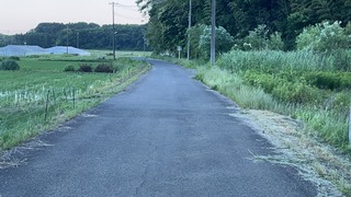 S__7004172