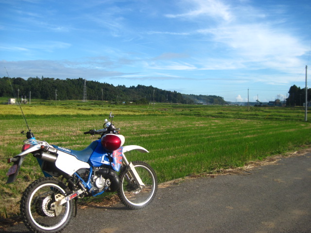 cc128f8a.jpg