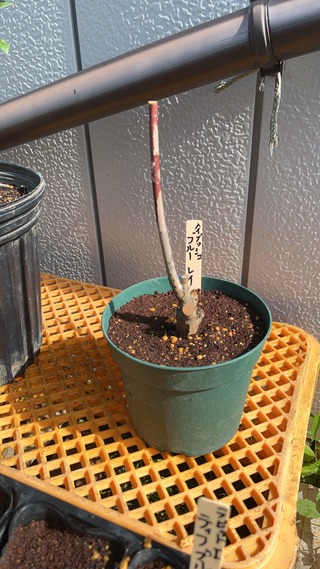 image9