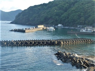 P5030129 (2)