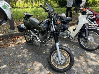image12