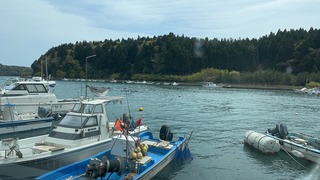 S__4874311