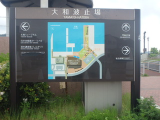 P5090358