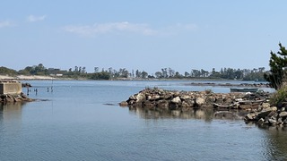 S__4849676