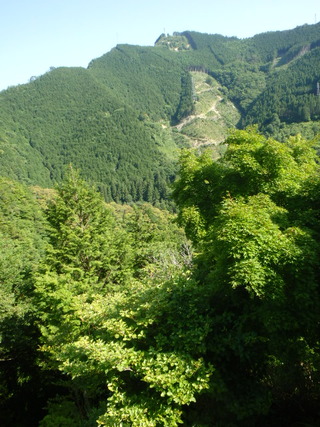 P6031337