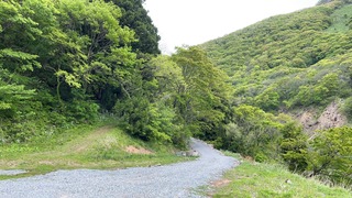 S__4948034