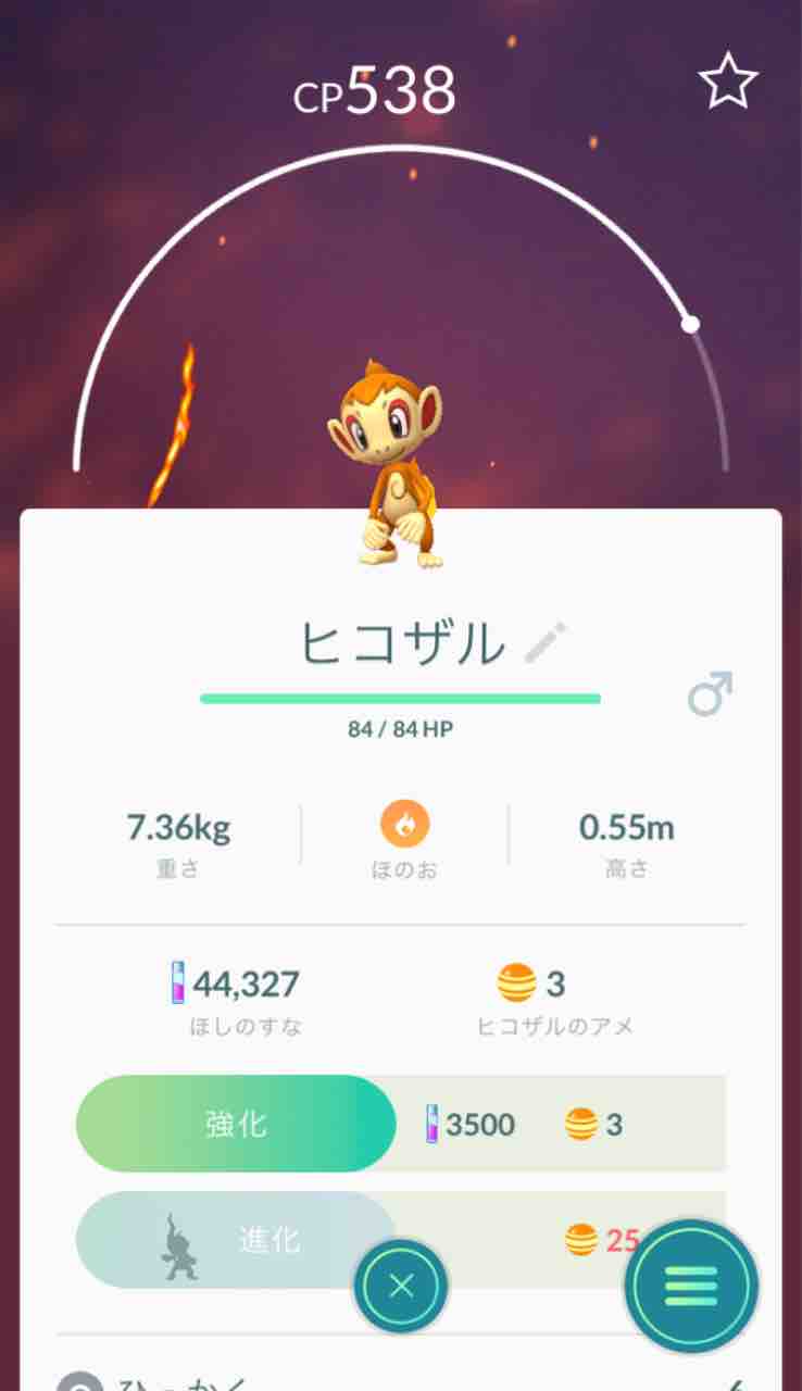 ダイヤモンド パール 御 三家 イメージポケモンコレクション