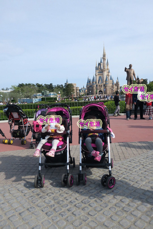 ディズニーランド (6)
