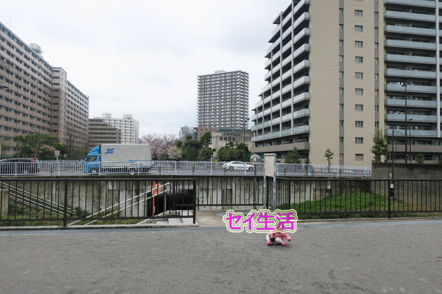 入園式 (3)
