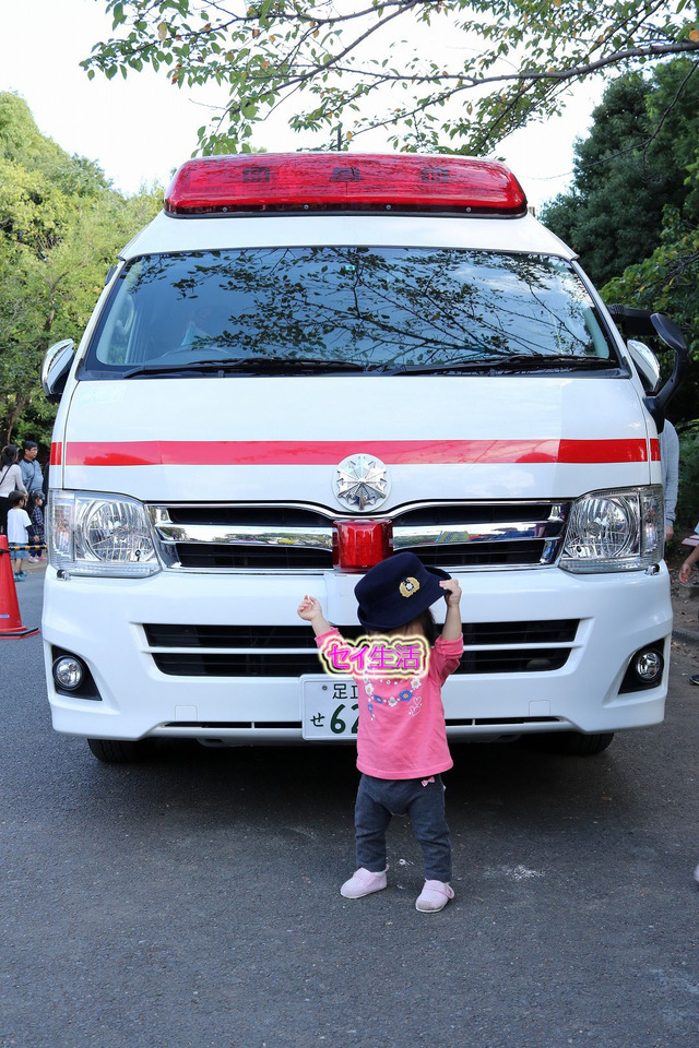 092d40c6.jpg