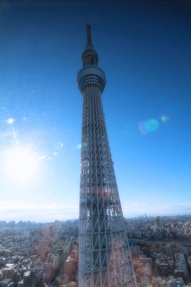 すみだ水族館 (27)