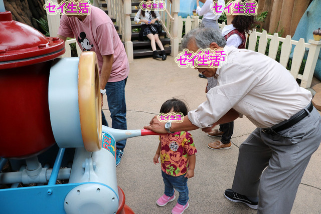 ディズニーランド (11)