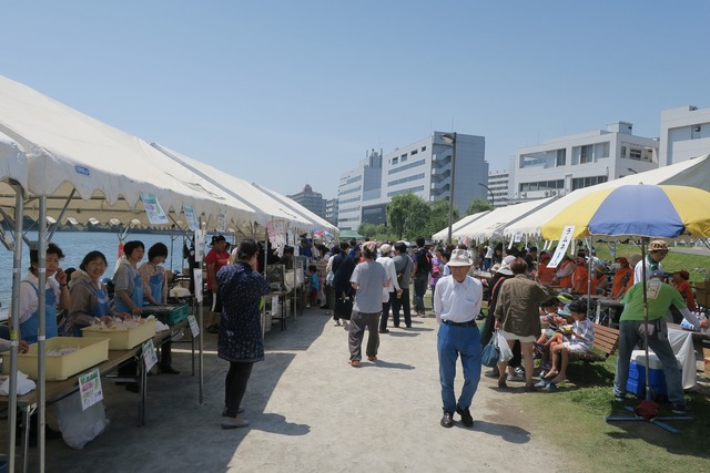 そらまめ祭り (4)