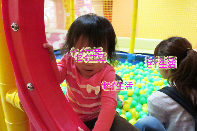 小さな動物園 (10)