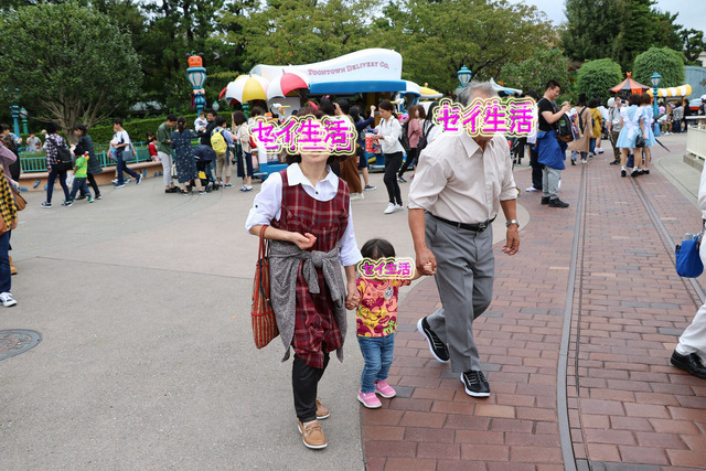 ディズニーランド (6)