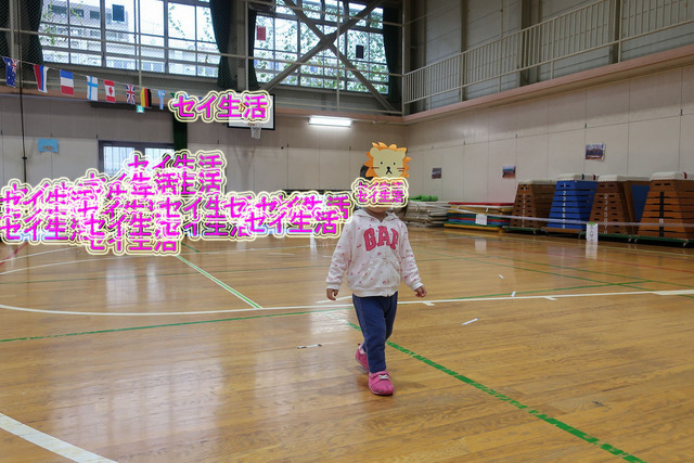 保育園運動会 (5)
