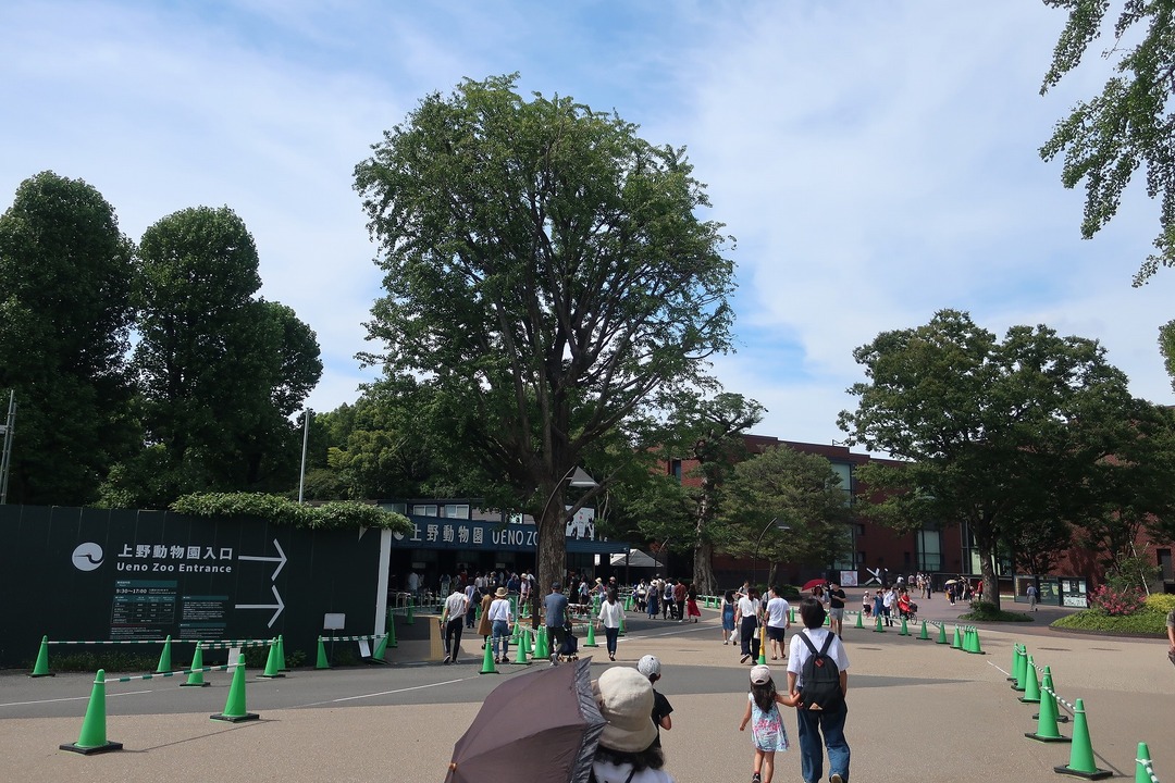 上野動物園 (1)